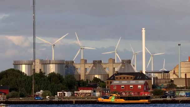 Копенгаген Дания Остров Рефшален Фоне Ветряных Турбин — стоковое видео