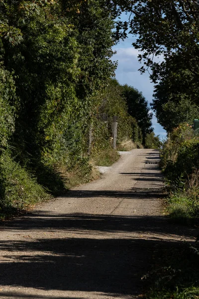 Kopenhagen Denemarken September 2022 Een Geïsoleerde Onverharde Weg — Stockfoto