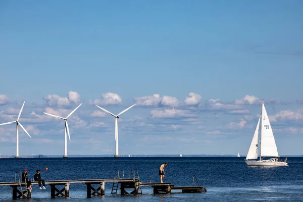 Copenhague Dinamarca Banhista Veleiro Turbinas Eólicas Largo Costa Cidade Oresund — Fotografia de Stock
