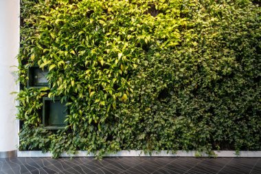 Kopenhag, Danimarka Bir alışveriş merkezinde büyüyen dikey bir bahçe.