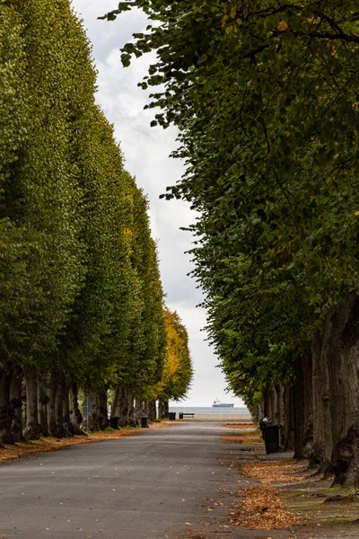 Kodaň Dánsko Pohled Moře Stromy Lemované Hambros Alle Okrese Hellerup — Stock fotografie