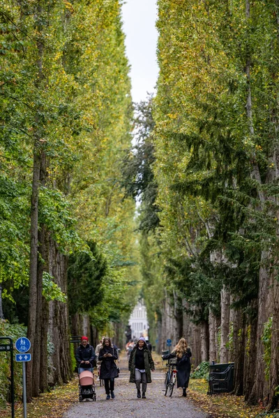 Sonbaharda Assistens Mezarlığı Nın Ana Caddesinde Yürüyen Bisiklete Binen Kopenhag — Stok fotoğraf