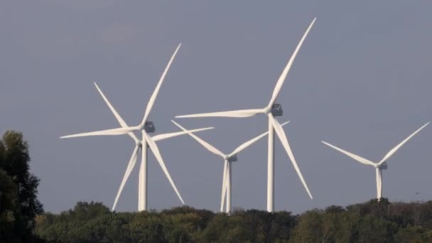 Lolland Dinamarca Las Turbinas Eólicas Giran Viento Día Soleado — Vídeos de Stock
