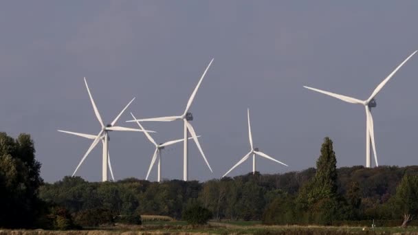 Lolland Danimarka Rüzgar Türbinleri Güneşli Bir Günde Rüzgarda Döner — Stok video