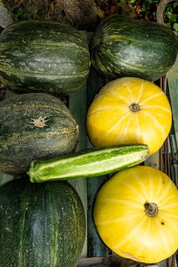 Svendborg, Danimarka Kabakları bir çiftlik pazarında satılık..