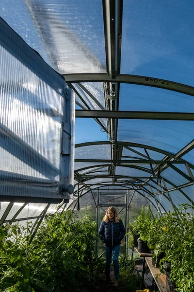 Copenhague Dinamarca Una Mujer Invernadero Jardín Público Festival Harvest Isla —  Fotos de Stock