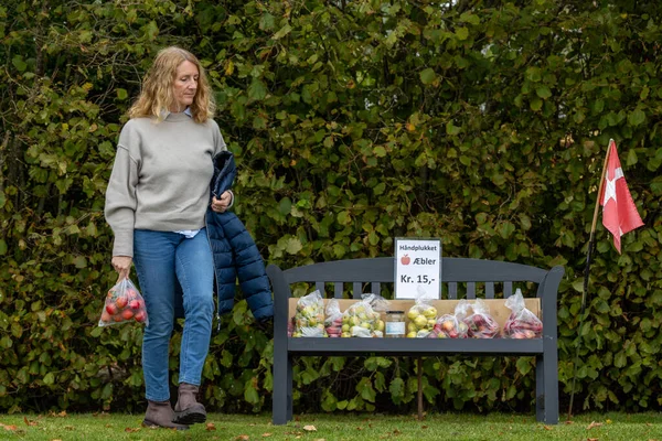 Langeland Dinamarca Una Mujer Compra Una Bolsa Manzanas Frescas Lado —  Fotos de Stock