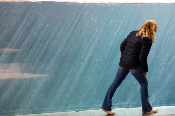 Κοπεγχάγη Δανία Μια Γυναίκα Προσπαθεί Δει Μια Πολική Αρκούδα Κολύμπι — Φωτογραφία Αρχείου