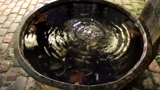 Copenhagen Danimarca Gocce Acqua Cadono Una Fontana Facendo Increspature — Video Stock