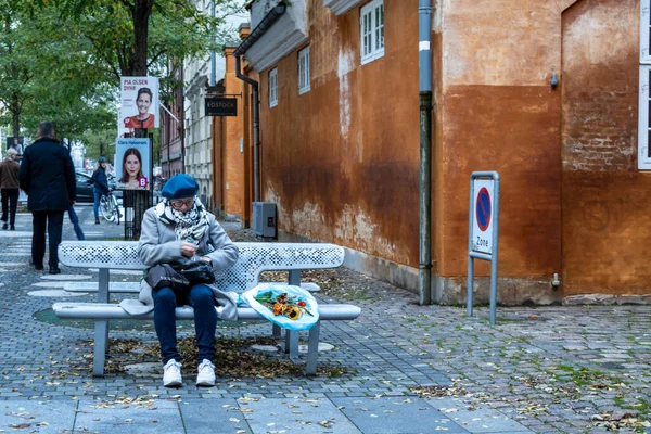 Copenhague Danemark Une Femme Est Assise Sur Une Fosse Aux — Photo