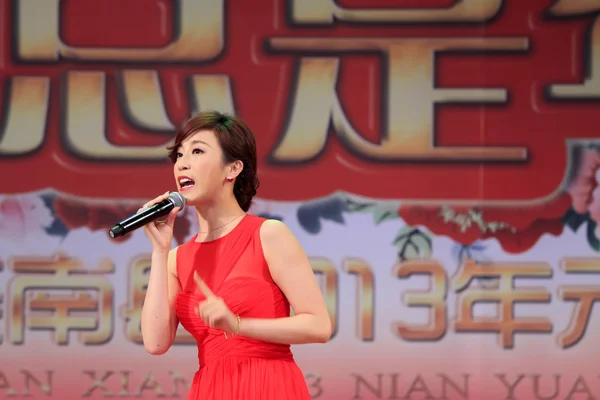 Известный певец Го Тао поет песни на сцене, фарфор — стоковое фото