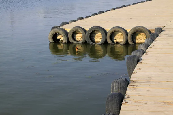 Enkel wharf i en park — Stockfoto