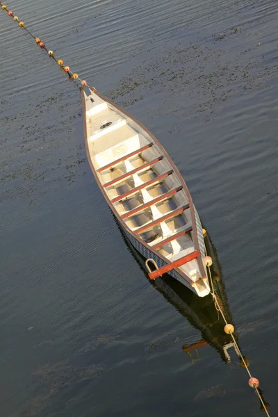 Лодка Dragon встала на якорь в воде — стоковое фото