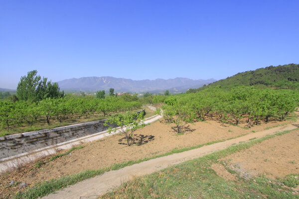 Ясли в восточной королевской гробнице династии Цин
,