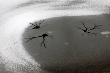 Kışın nehir üzerinde kırık buz