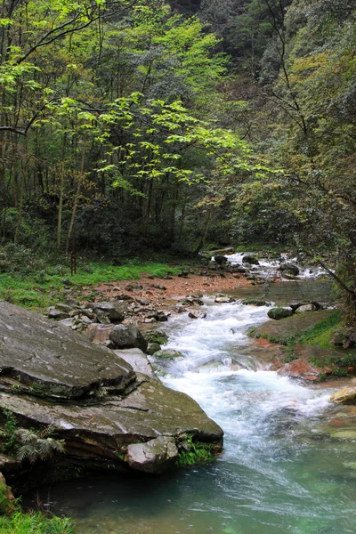 Akış sahne zhangjiajie ulusal jeolojik park