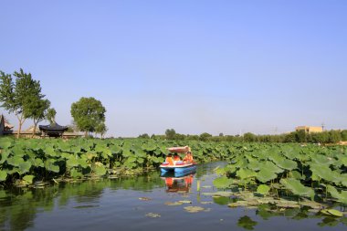 yavaş yavaş su, bir parkta sürüş keyfi tekne