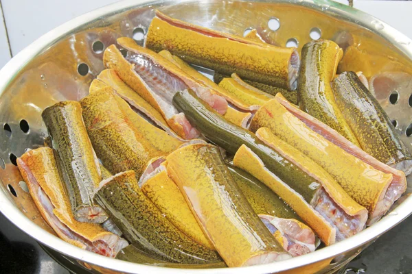 sırt yüzgeçsiz yılan balığı bölümünde yemek için hazır