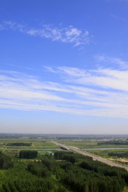 mavi gökyüzünün altında geniş orman 