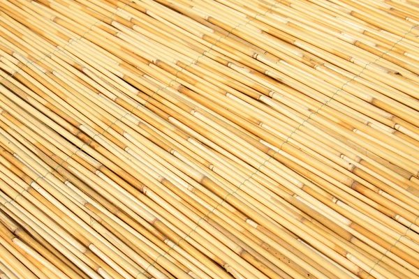 Reeds curtain texture feature — Stock Photo, Image