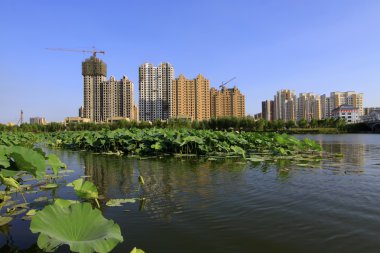 Göl kenarındaki bir park inşa