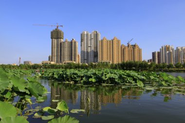 Göl kenarındaki bir park inşa