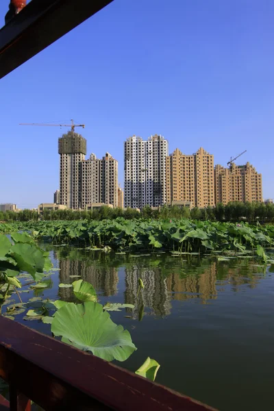 Building by the lake in a park — Stock Photo, Image