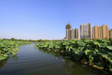 Göl kenarındaki bir park inşa