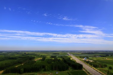 mavi gökyüzünün altında geniş orman 