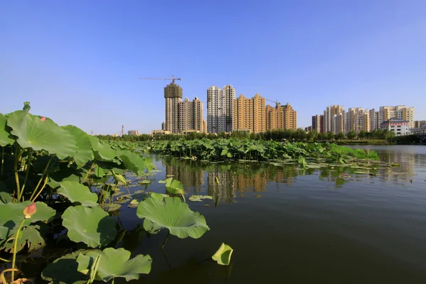 Building by the lake in a park — Stock Photo, Image