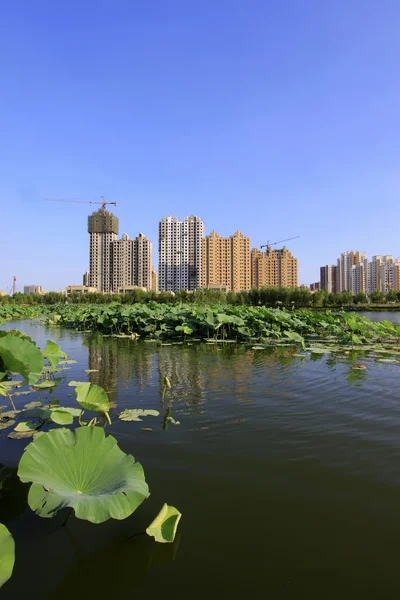 Building by the lake in a park — Stock Photo, Image