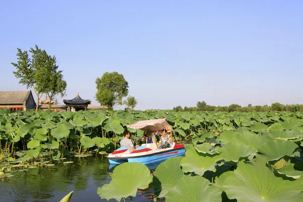 Pleasure boat driving slowly in the water, in a park — Stock Photo, Image