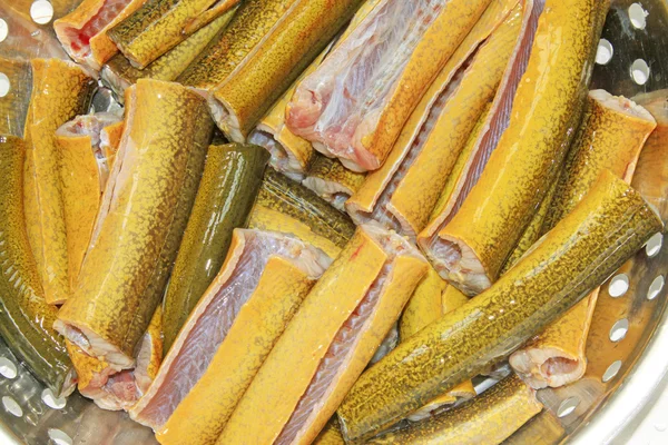 sırt yüzgeçsiz yılan balığı bölümünde yemek için hazır
