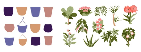 De set van huisplanten en potten. De boho ontwerp bloemen — Stockvector