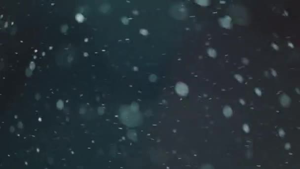 Widok padającego śniegu w nocy — Wideo stockowe