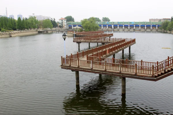 Puente de caballete en un jardín —  Fotos de Stock