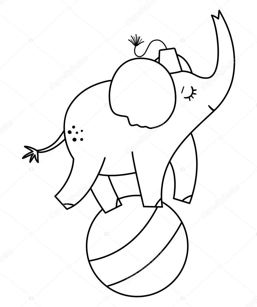 Black and white elephant on a ball. Vector circus outline animal. Amusement holiday line icon. Cute funny festival character clip art. Street show comedian illustratio