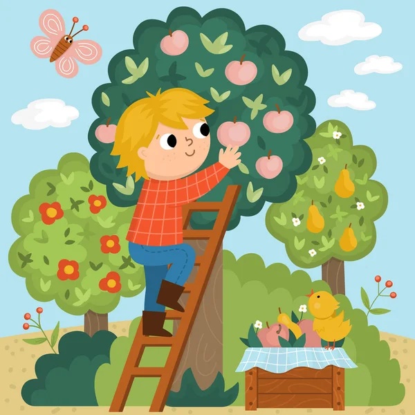 Διάνυσμα Σκηνή Αγρότη Συλλογή Μήλων Από Δέντρο Χαριτωμένο Παιδί Κάνει — Διανυσματικό Αρχείο