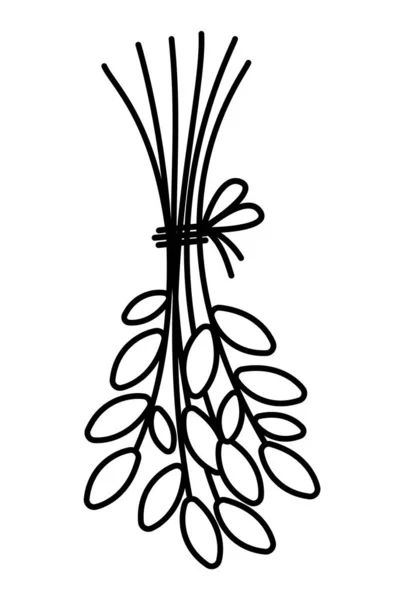 ベクトル黒と白の葉花束 概要ロープで結ばれた作物束 白い背景に隔離された面白い植物イラストや着色ページ Drying Twigs Hanging Upside Dow — ストックベクタ