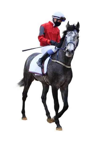 Hästkapplöpning Jockey Isolerad Vit Bakgrund — Stockfoto