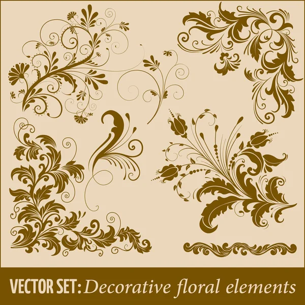 Vector conjunto de elementos de diseño floral — Archivo Imágenes Vectoriales