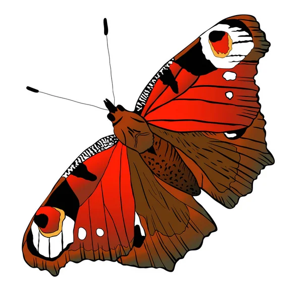 Vecor papillon. Illustration abstraite de silhouette d'insectes en noir et blanc — Image vectorielle