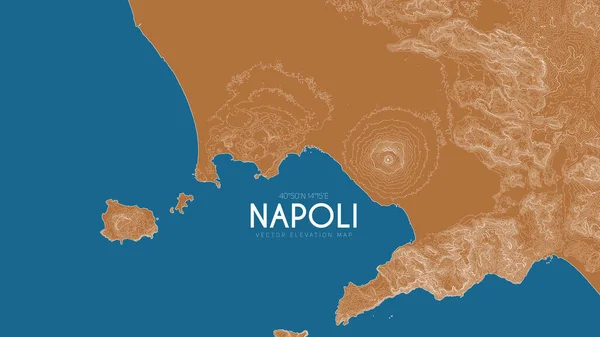 Mapa topograficzna Napoli, Włochy. Wektor szczegółowa mapa wysokości wyspy. Geograficzny elegancki plakat krajobrazowy. — Wektor stockowy