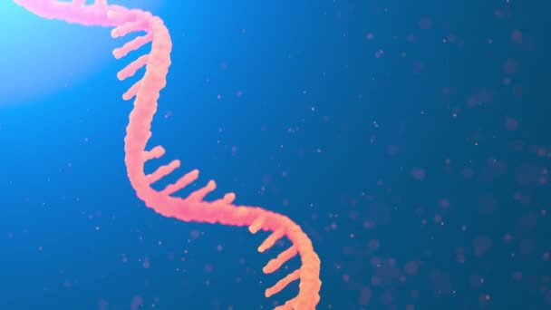 MRNA ланцюг обертається на помаранчевому тлі з літаючими уламками. Концепція циклічної анімації вакцин mRNA — стокове відео