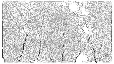Büyüme düzeni. Üretici dallanma yapısı. Organik damar dokusu ağı.