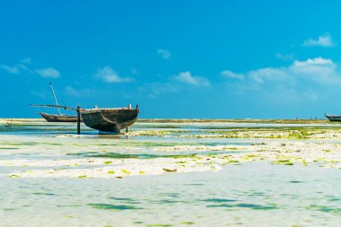Nungwi Zanzibar, Tanzanya 'daki büyük dalgalar sırasında sahilde teknenin kapanışı.