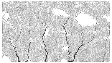 Büyüme düzeni. Üretici dallanma yapısı. Organik damar dokusu ağı.
