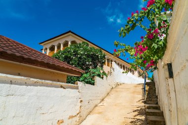Afrika köyünde çiçekli boş bir sokak Kendwa, Zanzibar, Tanzanya