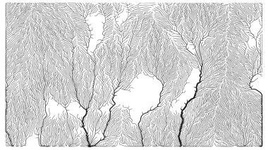 Büyüme düzeni. Üretici dallanma yapısı. Organik damar dokusu ağı