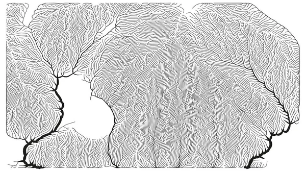 Modèle Croissance Structure Ramification Génératrice Texture Filet Vaisseaux Bio — Image vectorielle
